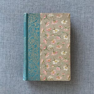 The Water Babies A Fairy Tale For A Land Baby Charles Kingsley 1895 Antique Book