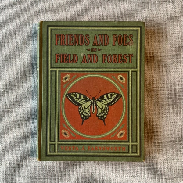 Friends And Foes In Field And Forest Vesta Farnsworth 1913