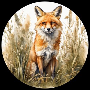 FOX COASTER Sublimation Ready to Press Transfer Bundles Of 60 Designs Choice Of 14 Sizes (PALMFOX1-180)