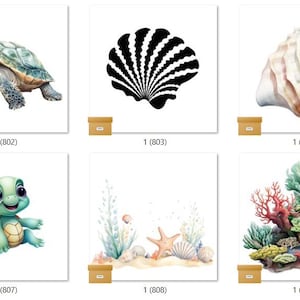 SEA LIFE bereit, Sublimations-Wärmetransferdruck-Bündel mit 10 Bündeln Auswahl von 10 Bündeln (DAGSEALIGE801-900)
