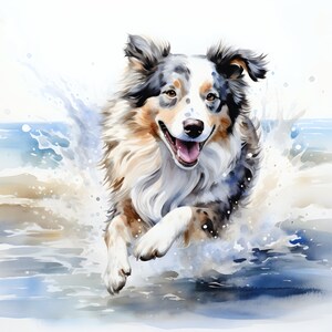 Beach Dogs, pacchetto di trasferimento termico a sublimazione pronto per la stampa di 10 stampe di immagini (PBflc 21-30)