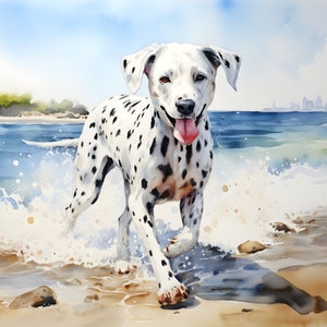 Beach Dogs klaar om te drukken sublimatie warmteoverdrachtbundel van 10 afbeeldingsafdrukken (PBflc 31-40)
