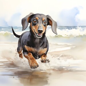 Pacchetto di trasferimento termico a sublimazione pronto per la stampa di Beach Dogs di 10 stampe di immagini (PBflc 11-20)