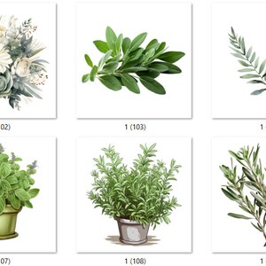 Gotowe do druku wydruki termotransferowe inspirowane kwiatami i roślinami (CDplants101-200)