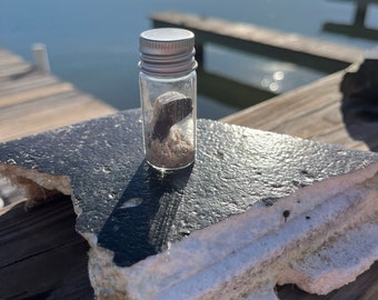 Sección de escudo térmico SN24 BN7 de la nave espacial Starship de SpaceX de edición limitada para coleccionistas