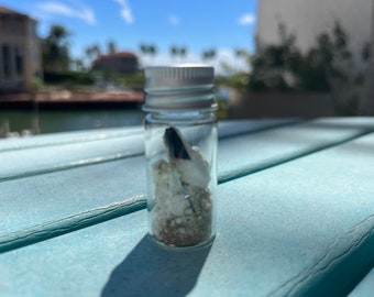 Sección de escudo térmico SN24 BN7 de la nave espacial Starship de SpaceX de edición limitada para coleccionistas