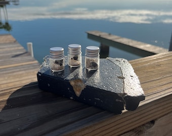 Sección de escudo térmico SN24 BN7 de la nave espacial Starship de SpaceX de edición limitada para coleccionistas