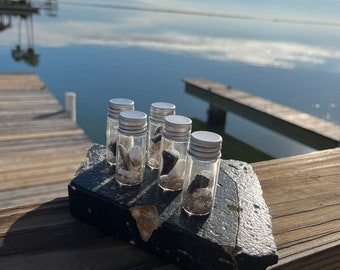 Sección de escudo térmico SN24 BN7 de la nave espacial Starship de SpaceX de edición limitada para coleccionistas