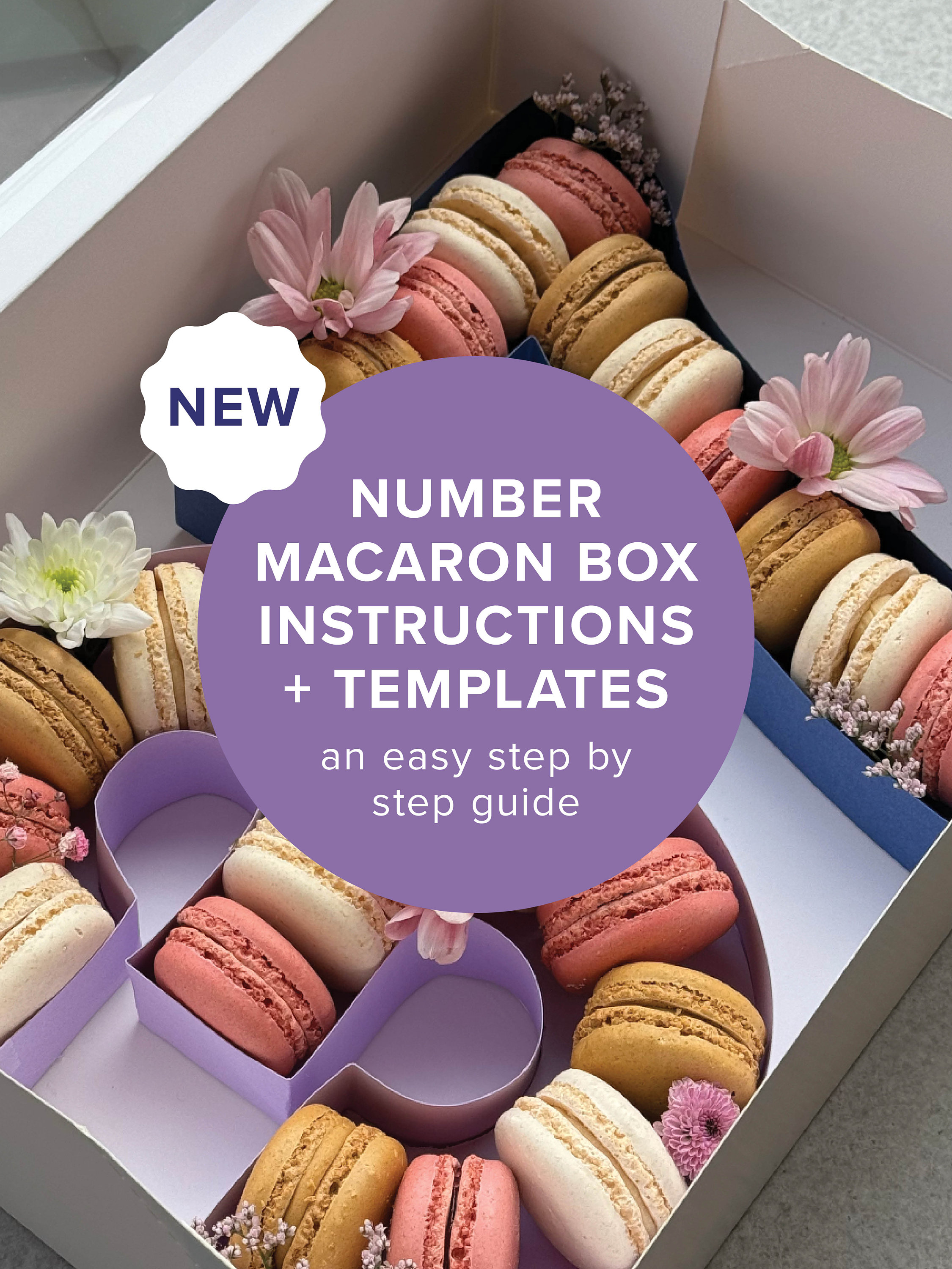 ブランド雑貨総合 Macaron Instant Templates, & Guide Instruction Boxes, Number その他
