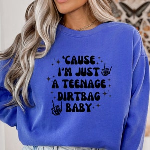 Cause I&#39;m Just A Teenage Dirtbag Baby Sweatshirt, Teenage Dirtbag Sweatshirt, Wheatus Sweatshirt, Women&#39;s Sweatshirt, Trendy Sweatshirt,