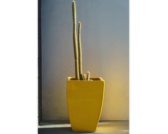 Radiant Cactus in Yellow Pot Print - 16x24 Palm Springs Inspired Wall Art, Vertical Fine Art Photo, Modern Desert Decor