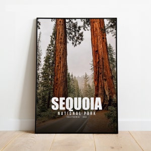 Sequoia National Park Print | Sequoia National Park Poster | Sequoia National Park Wall Art | California Travel