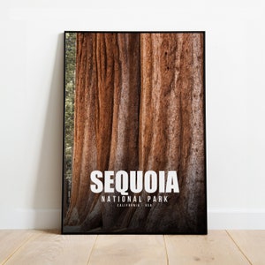 Sequoia National Park Print | Sequoia National Park Poster | Sequoia National Park Wall Art | California Travel