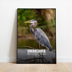 Stampa del Parco Nazionale delle Everglades / Poster del Parco Nazionale delle Everglades / Arte murale del Parco Nazionale delle Everglades