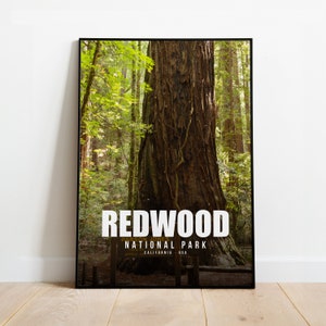 Redwood National Park Poster| Redwood National Park Print| Redwood National Park Wall Art | California Travel