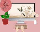 Boho Desktop Wallpaper Aesthetic Plants  | Simple Minimalist Background Computer, Laptop, Tablet, Ipad, Windows Digital Download