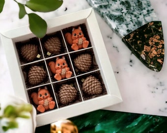 Treat Box - Belgian Chocolate squirrel - Unique Gift - Personalised Christmas Gift - xmas pine -squirrel chocolate figures