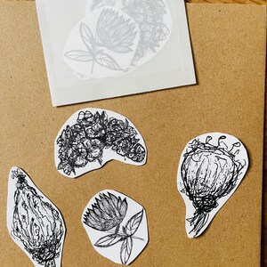 Botanische Sticker Set – handgezeichnete Pflanzenmotive | Florale Aufkleber für Bullet Journal, Scrapbooking & DIY