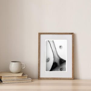 Kunstdruck – abstrakte Kohlezeichnung mit Struktur & Flussform | organisches Motiv in Schwarz-Weiß