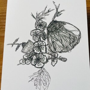 Florale Kunstkarte – zarte Tintenzeichnung mit Fruchtstand und Blüten, A6 mit Kraftpapierumschlag