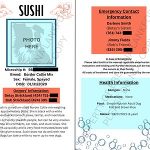 CUSTOMIZABLE Emergency Information Travel Tags for Pets