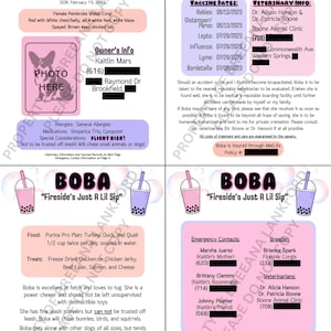 CUSTOMIZABLE Emergency Information Travel Sheets for Pets