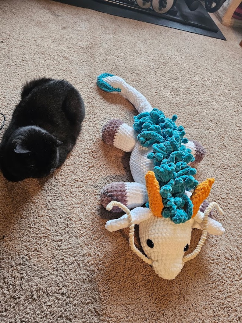 Cat for scale, Haku is giant.