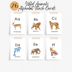 Wild Animal Alphabet Flash Cards, Montessori Materials, A-Z Cards, Toddler Preschool Learning Resource, Letter Flashcards, Digital Download