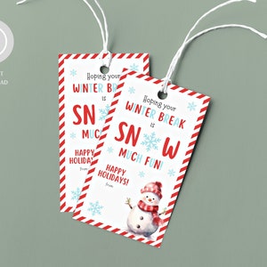 Printable Christmas Favor Tags, Holiday Classroom Gift Tags, Hope Your Winter Break is Snow Much Fun, School Party Favor Tags, From Teacher