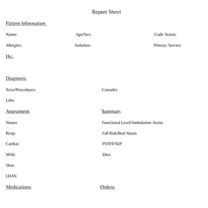Nurse Report Sheet
