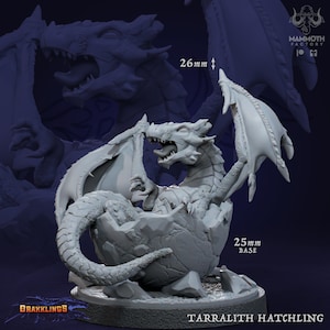 Tarralith Hatchling & Dragon Egg | DnD Minifigures | Drakkling Set | 3D Resin Printed