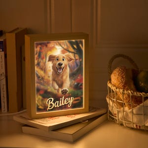 Boîte lumineuse personnalisée pour animal de compagnie • Portrait de dessin animé d'animal de compagnie • Veilleuse personnalisée pour animal de compagnie • Cadeaux commémoratifs pour chien • Cadeau pour animal de compagnie • Portrait lumineux personnalisé n° 4