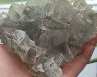 Pode incluir: Um aglomerado de cristais de fluorita transparentes e verdes com forma cúbica. Os cristais são translúcidos e têm um leve tom verde. O aglomerado de fluorita é aproximadamente do tamanho de uma mão humana.