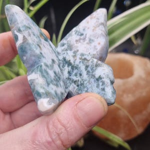 3d moss agate butterfly, crystal butterfly home decor gift