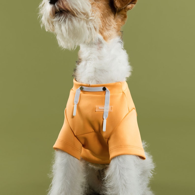 bump up® Crop Hoodie, Orange Color, Dog Clothing, Cute Dog Clothes image 4