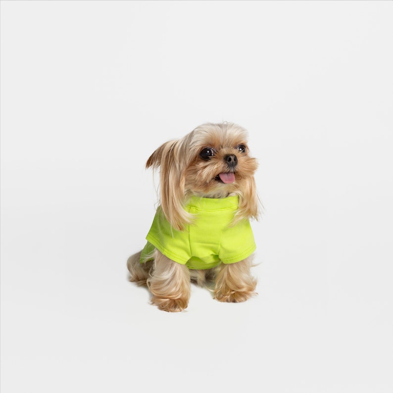 bump up® Air Tag T-shirt, Lemon, Fluorescent Color, Dog Clothing, Cute Dog Clothes image 5
