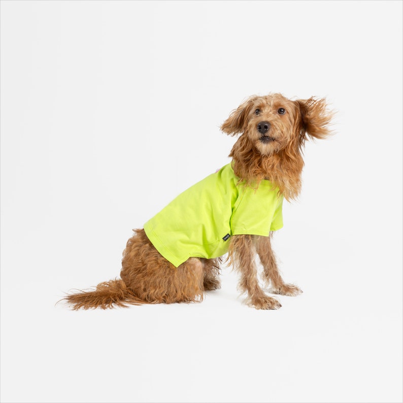 bump up® Air Tag T-shirt, Lemon, Fluorescent Color, Dog Clothing, Cute Dog Clothes image 2