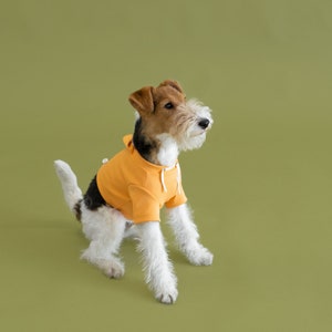 bump up® Crop Hoodie, Orange Color, Dog Clothing, Cute Dog Clothes image 5