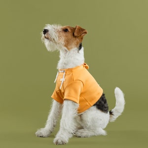 bump up® Crop Hoodie, Orange Color, Dog Clothing, Cute Dog Clothes image 1