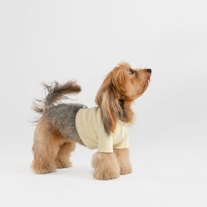 bump up® Crop Hoodie, Cream Color, Dog Clothing, Cute Dog Clothes image 4