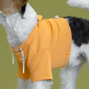 bump up® Crop Hoodie, Orange Color, Dog Clothing, Cute Dog Clothes image 2