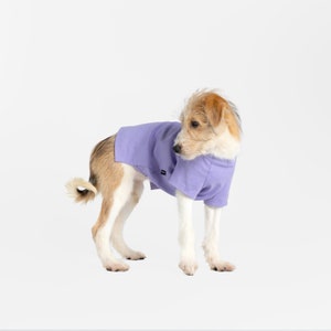 bump up® Air Tag T-shirt, Purple, Fluorescent Color, Dog Clothing, Cute Dog Clothes image 3