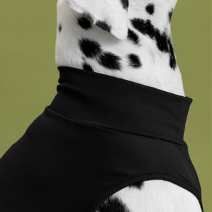 bump up® Com-Fit, High Quality Yoga Fabrics, Comfortable and Fit, Black Color, Dog Clothing image 7