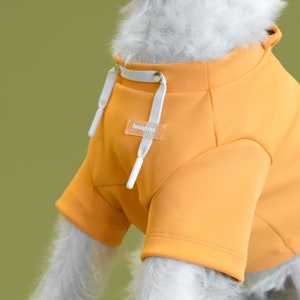 bump up® Crop Hoodie, Orange Color, Dog Clothing, Cute Dog Clothes image 3