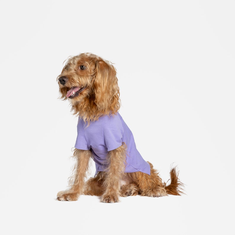 bump up® Air Tag T-shirt, Purple, Fluorescent Color, Dog Clothing, Cute Dog Clothes image 4