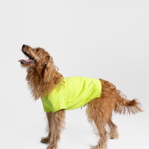bump up® Air Tag T-shirt, Lemon, Fluorescent Color, Dog Clothing, Cute Dog Clothes image 1