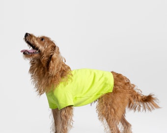 bump up® Air Tag T-shirt, Lemon, Fluorescent Color, Dog Clothing, Cute Dog Clothes