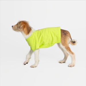 bump up® Air Tag T-shirt, Lemon, Fluorescent Color, Dog Clothing, Cute Dog Clothes image 3