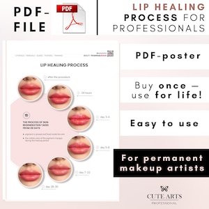Poster printable PDF ”Lip Healing Process” PMU decor skincare Lip blush stages of healing Permanent makeup flyer Digital print Salon Art