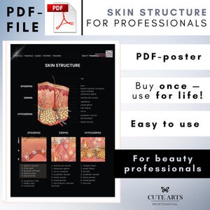 Poster printable PDF ”Skin Structure”  Wall decor skincare Skin anatomy Digital print Skin Care Dermatology Art Medicine poster Salon decor